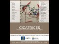 Exposicion CICATRICES