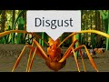 The roblox ant experience