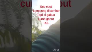 susah cari sambaran, malah kena prank #mancing #casting #fishing #mancingmania #sambaranikangabus