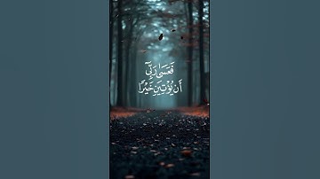 آيات من سورة الكهف 🦋 #اكسبلور #لايك #sleep #القران_الكريم #راحة_نفسية #تلاوة_خاشعة