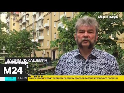 За птиц на взлетной полосе отвечают аэропорты – авиаэксперт - Москва 24