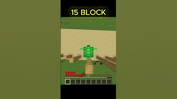 Minecraft Turtle High Jump Challenge 🐢🔥 | Wait Till End #shorts #short #minecraft #shortsfeed