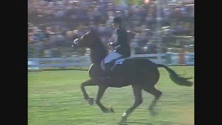 Spruce Meadows Moment - Eddie Macken & Carroll's Boomerang 1979
