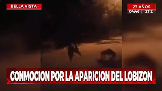 Lobizon o Luisón real filmado de noche 