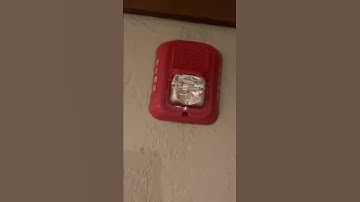 System senior Remote Strobe.