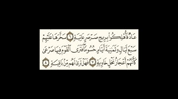 سورة الحاقة ٧الى٨ #اكسبلور #سورةالفاتحة #سورةالكوثر #سورةالاخلاص #ترند #سورةالفلق #تيك_توك #لايك