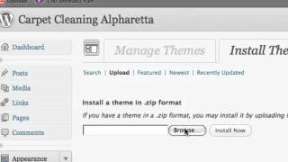 How To Install Catalyst Theme.mp4