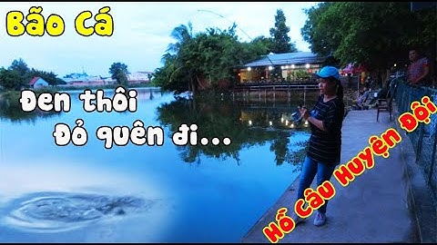 Xẩy Cá Tra Lớn Ở Hồ Câu Cá Huyện Đội Hóc Môn | Hồ Câu Huyện Đội