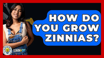 How Do You Grow Zinnias? - LearnToDIY360.com