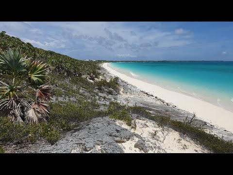 Video: Diferența Dintre Caraibe și Bahamas