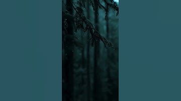 "ألا بذكر الله تطمئن القلوب" | تلاوة خاشعة تهزّ القلب ❤️ | صوت يريح النفس #share #راحة_نفسية