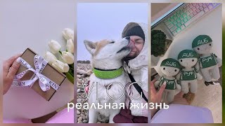 VLOG|Покупки с WB|Гуляем, готовим, вяжем #вязаныеигрушки #вязаниекрючком #владивосток