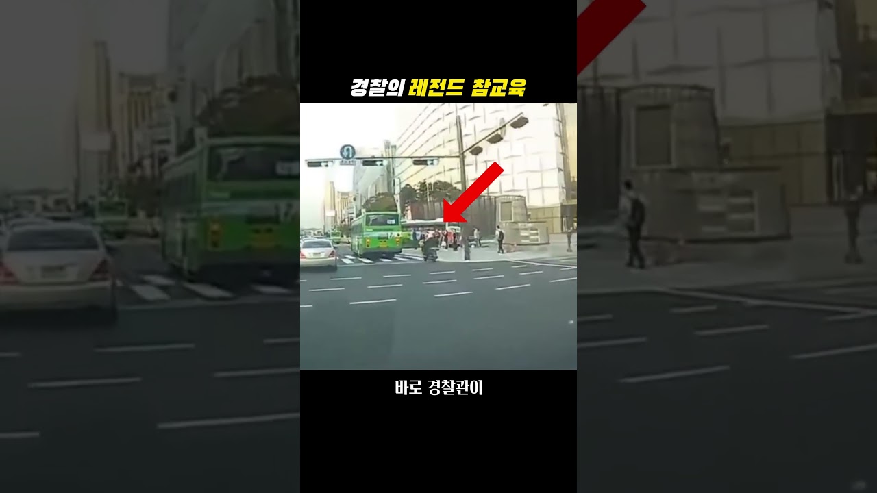 경찰의 레전드 참교육