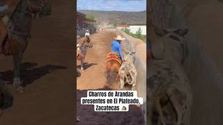 Charros de Arandas, Jalisco presentes en El Plateado, Zacatecas. ? #coleadero