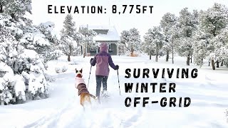 OFF GRID LIFE | SURVIVING WINTER in the middle of nowhere