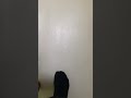 помогите как слезть