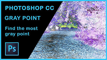 Photoshop Tutorial | Find the Gray Point of a photo