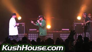 Throw the Kush in the Bag - MIC MC ft. Dave Browne - Kush House Records