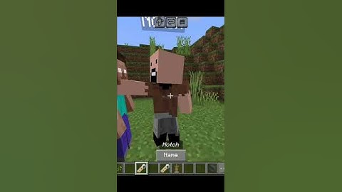 Herobrine Vs Notch In Minecraft