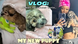 VLOG: GETTING A NEW MALTIPOO PUPPY |  FIRST 72HRS, PUPPY PREP , VET VISIT