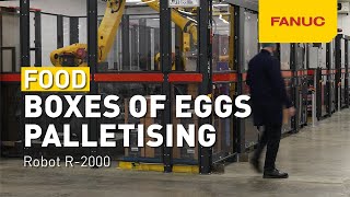 Boxes of eggs automated palletising | FANUC & CSi Palletising | GET IT DONE. TOGETHER!
