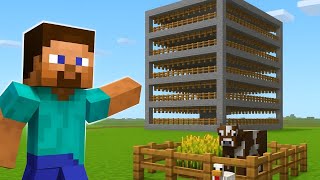 I built automatic farms in One Block Minecraft 