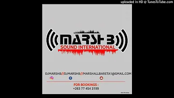 Ngaibake Zimdancehall Mixtape By Dj Marsh B[Marsh2019+263774543199