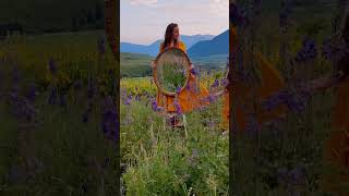 Magic mirror! Our family did a photo shoot in the wildflowers! screenshot 3