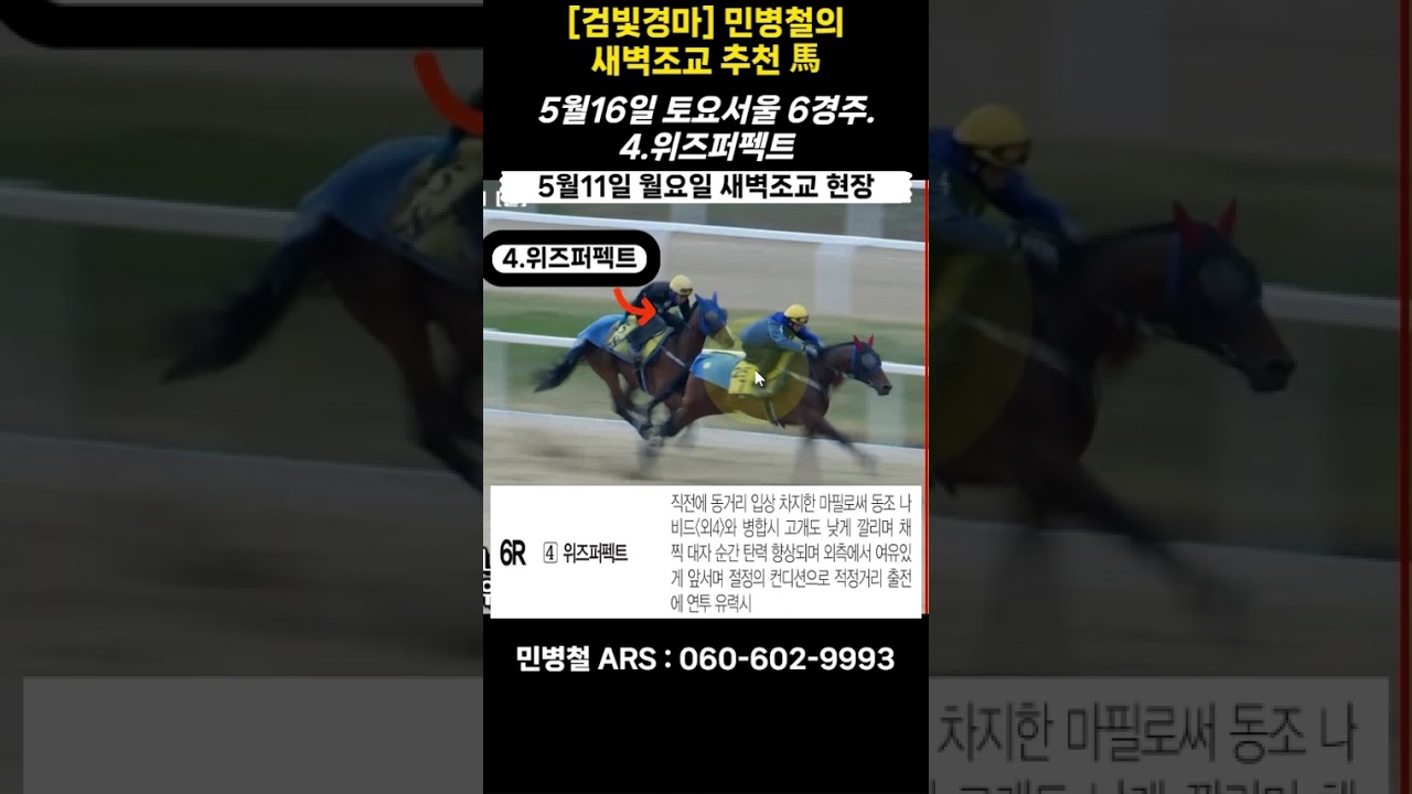 #5월16일 토요일!민병철의 새벽조교 우수馬!