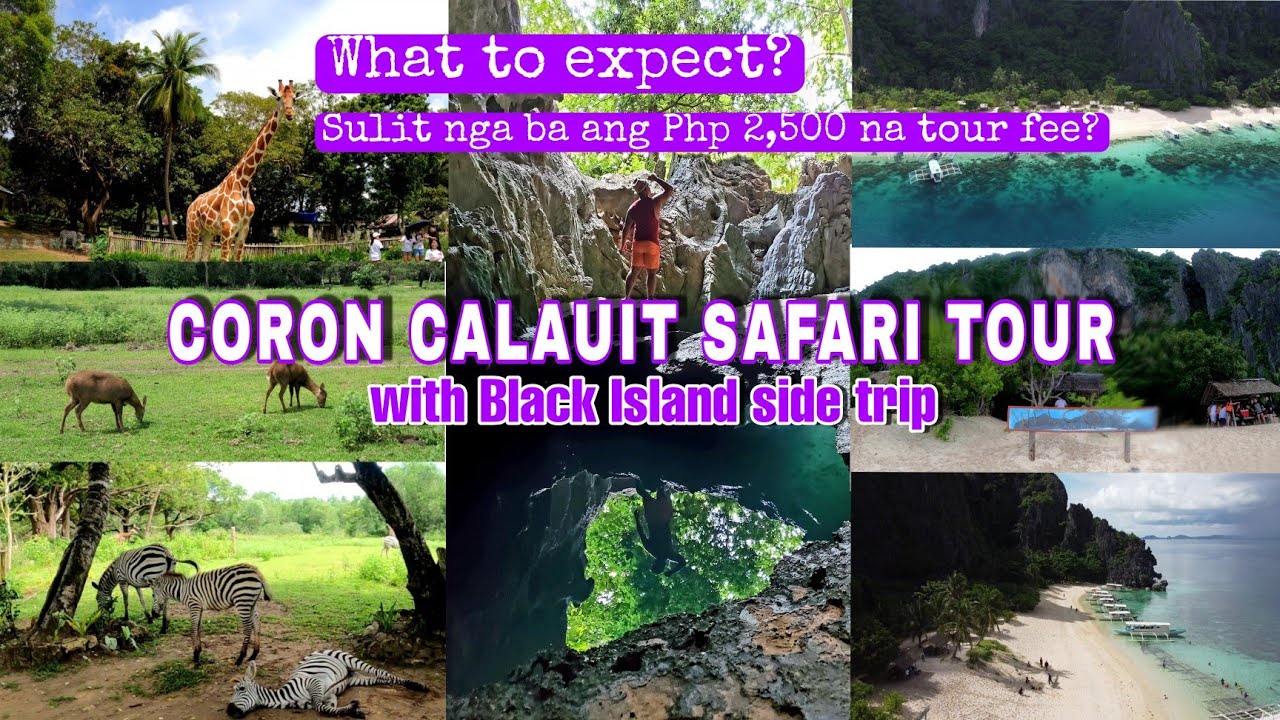 CALAUIT SAFARI TOUR E WITH BLACK ISLAND 4TH DAY IN CORON YouTube CALAUIT SAFARI TOUR E WITH BLACK ISLAND 4TH DAY IN CORON YouTube