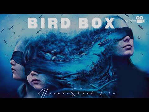 Bird Box - Horror Short film | ShorTube (2021)