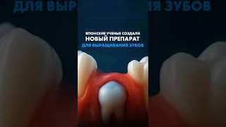ЯПОНСКИЕ УЧЕНЫЕ СОЗДАЛИ НОВЫЙ ПРЕПАРАТ ДЛЯ ВЫРАЩИВАНИЯ ЗУБОВ. Татьяна Бондарева #миката #стоматолог