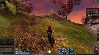 DDO - A Quest A Day - Ep 35 -Treasure Hunt