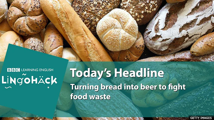 Learn today's words and phrases: stale bread, leftover, niche, raising awareness - DayDayNews