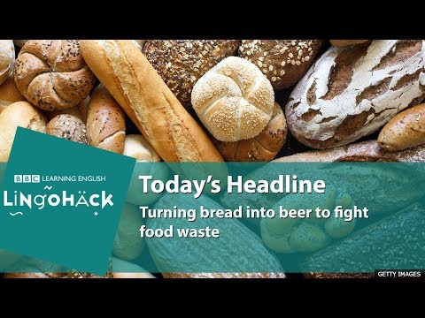 Learn today's words and phrases: stale bread, leftover, niche, raising awareness