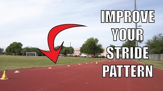 Stride Rate & Stride Frequency | Wicket Sprints