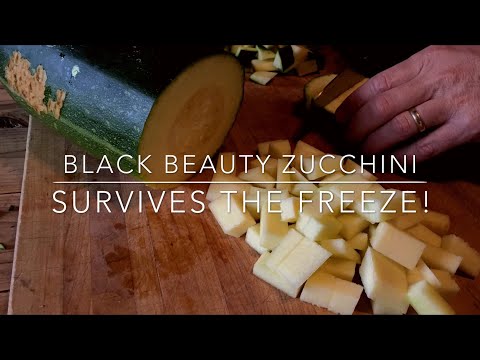 Video: How To Make A Zucchini 