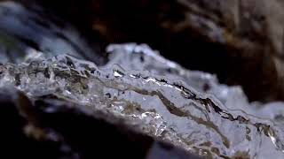 Nature's gentle rhythm, a stream flowing with quiet grace