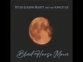 Peter joseph burtt and the kingtide  sleeping dog  american bluesrock band