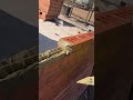 brick laying process #construction #brick #popular #viralshorts #shorts