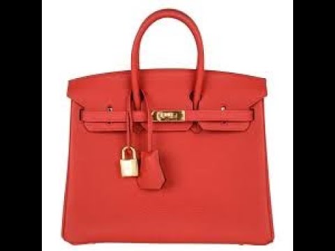 How the Hermes Birkin Bag is Taking the Luxury Collectibles Market by Storm & What It Can Teach ...
