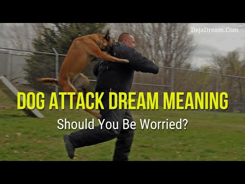 Video: Why dream that a dog attacked