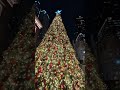 Christmas in NYC 2025: Lotte New York Palace Hotel #shorts