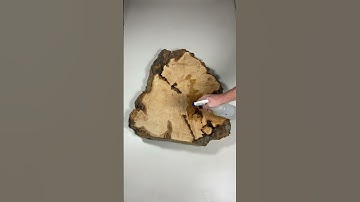 This hard maple cookie would make a gorgeous end table! #liveedgefurniture  #liveedgeslab