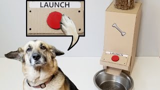 How to make Amazing Dog Food Dispenser with Button