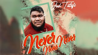 Josh Tatofi - Never, Never, Never (Audio) chords