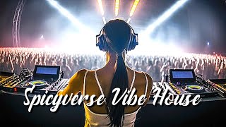 Spicyverse Vibe House (EXCEL LYRICS)