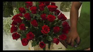 Hoavily.com - Hướng dẫn cắm hộp hoa hồng đỏ - baby