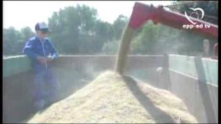 Eu Agricultural Policy Securing The Farmers Future