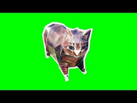 3D - OIIA OIIA (Spinning CAT)